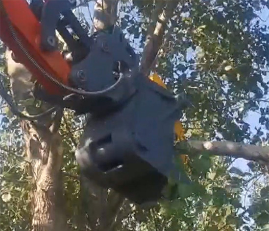 rotary_tree_cutter.jpg